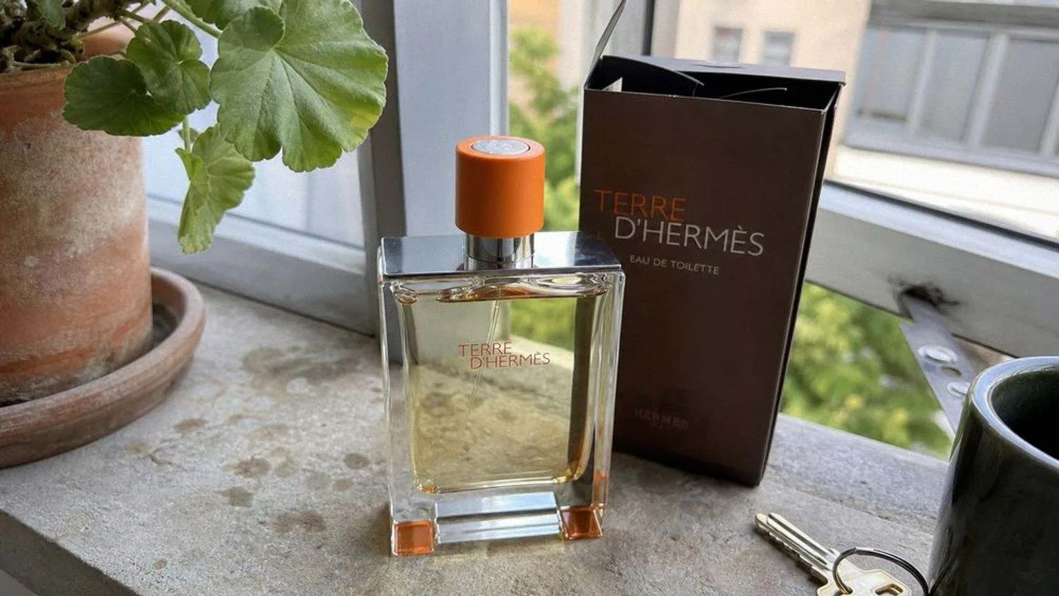 Terre d'Hermès eau de toilette bottle standing on a rough stone windowsill in morning light, an open window behind it and a geranium leaf leaning into the frame